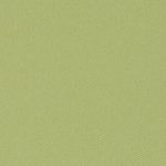 BO-4206-GREEN-205-2-5m-600x900px-1-150x150
