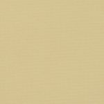 CARINA-BO-ALU-CORNMEAL-10546-2m-600x900px-150x150