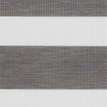 ZEBRA-CYPRUS-PINE-0540-2-5m-600x900px