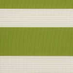 ZEBRA-ZAKYNTHOS-LIME-1300-2-5m-600x900px