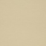 CLASSIC-REFLEX-BEIGE-2103-127mm